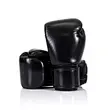 best fighting gloves